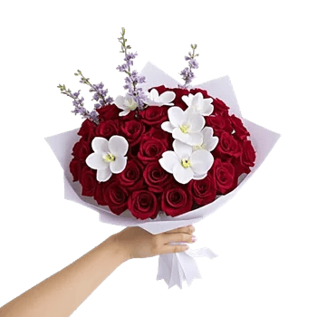 Crimson Rose Elegance