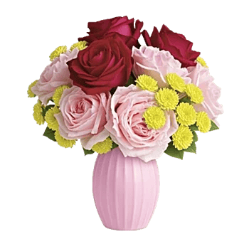 Petal Radiance Bliss