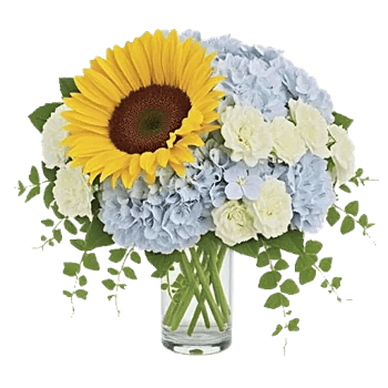 Radiant Bloom Cascade