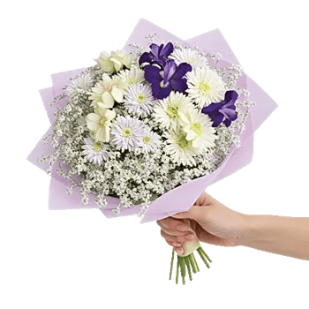 Blossom Radiant Whisper