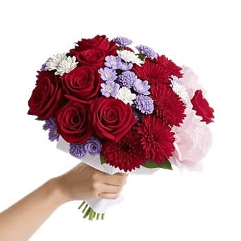 Crimson Rose Elegance