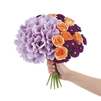 Lavender Bloom Grace