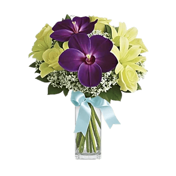 Orchid Bloom Cascade