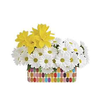 Blossom Harmony Display