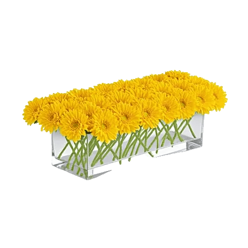 Radiant Bloom Cascade