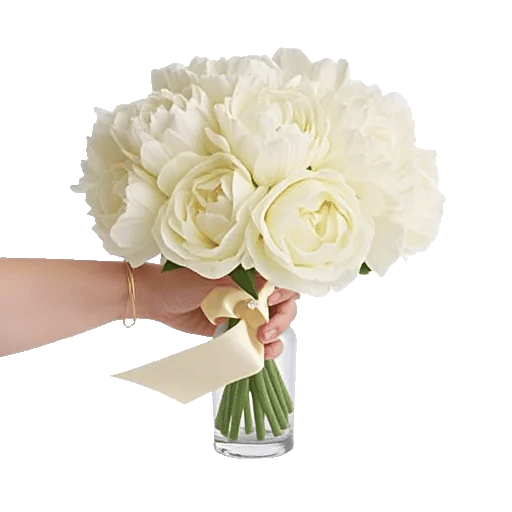 Peony Petal Harmony