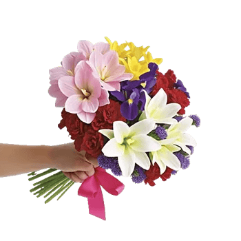 Blossom Harmony Display
