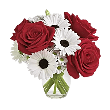 Petal Radiance Bliss