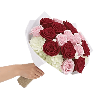 Crimson Rose Elegance