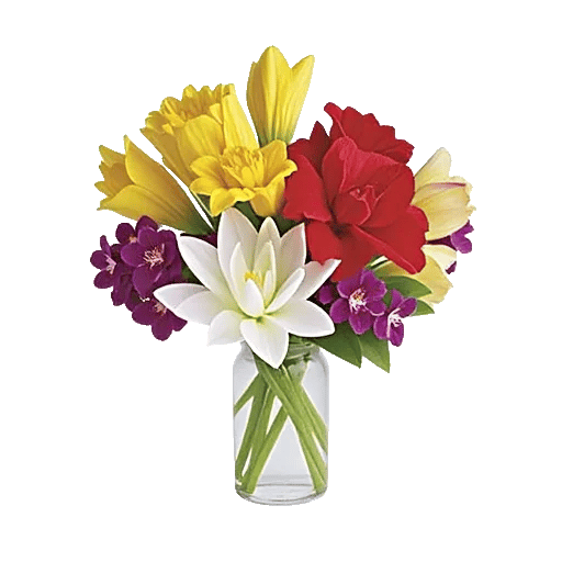 Ivory Blossom Radiance