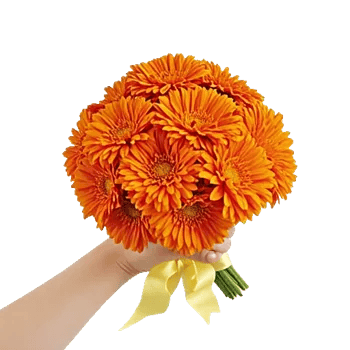 Vibrant Orange Delight