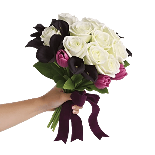 Elegant Calla Lilies
