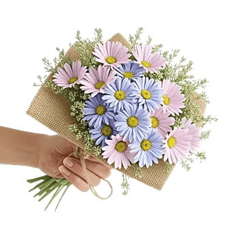 Fresh Meadow Blooms