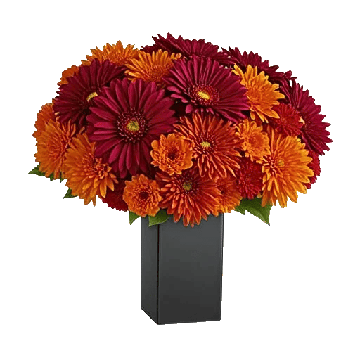Crimson Blossom Harmony
