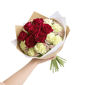 Crimson Rose Elegance