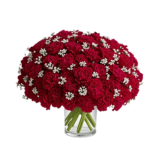 Delicate Petal Cascade