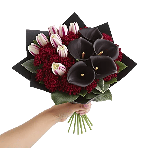 Elegant Calla Lilies