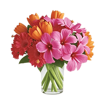 Petal Radiance Bliss