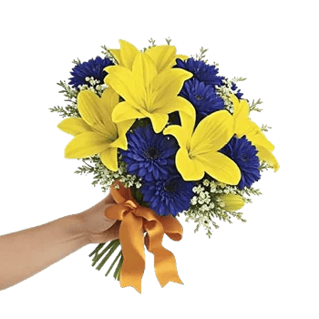 Blossom Harmony Display