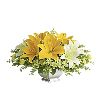 Graceful Lily Display