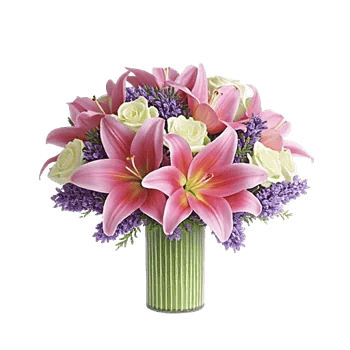Graceful Lily Display