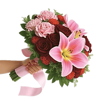 Blushing Rose Symphony