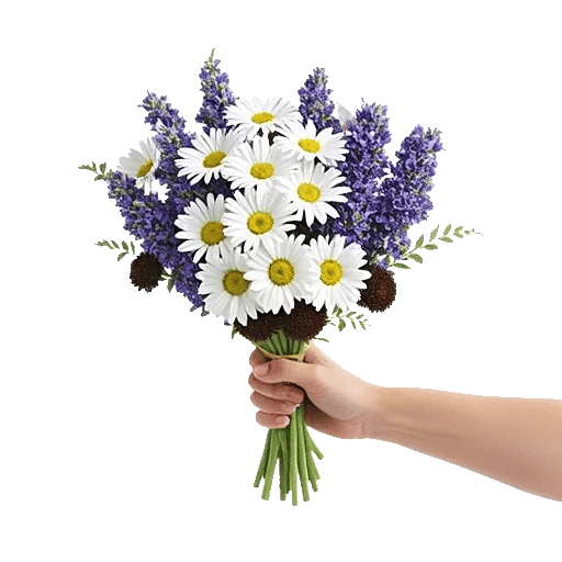 Enchanting Daisy Garden