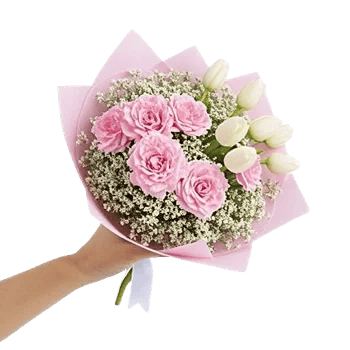 Pastel Pink Roses
