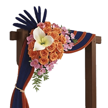 Elegant Calla Lilies