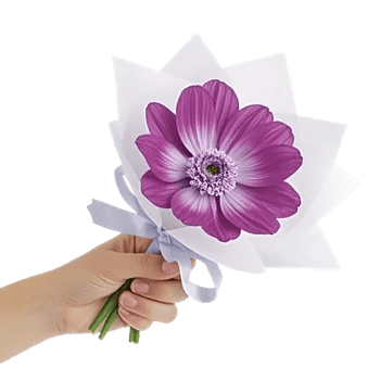 Ivory Blossom Radiance