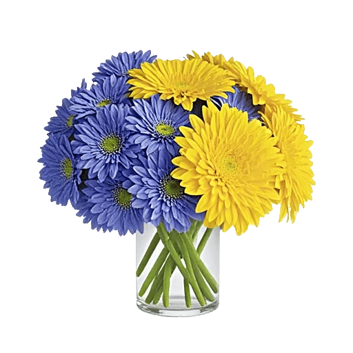 Sapphire Bloom Whisper