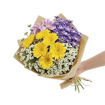 Blossom Harmony Display