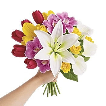 Blossom Harmony Display