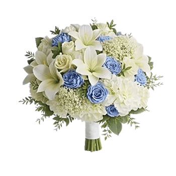 Sapphire Bloom Whisper
