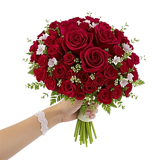 Crimson Rose Elegance