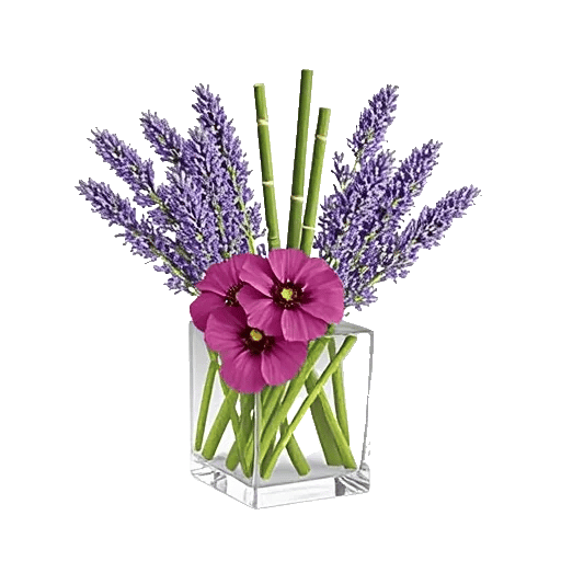 Lavender Bloom Grace