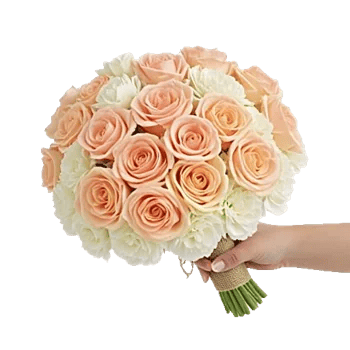 Blushing Rose Symphony