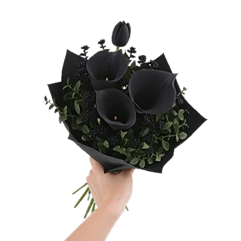 Elegant Calla Lilies