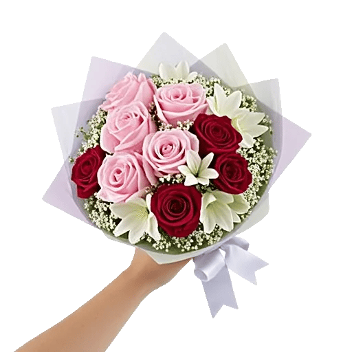 Blushing Rose Symphony