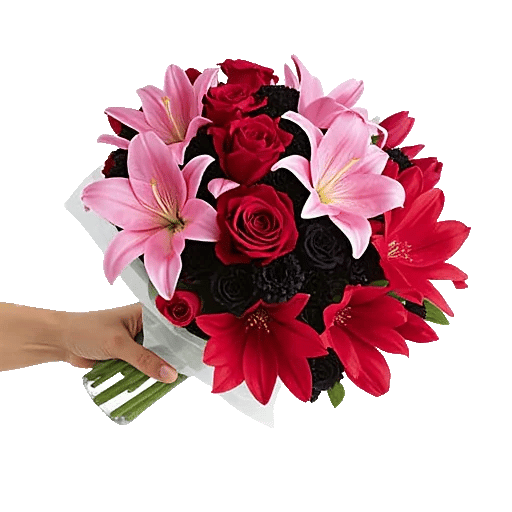 Crimson Rose Elegance