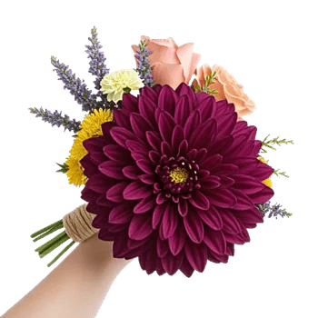 Crimson Blossom Harmony