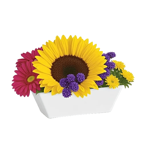 Amber Sunflower Glow