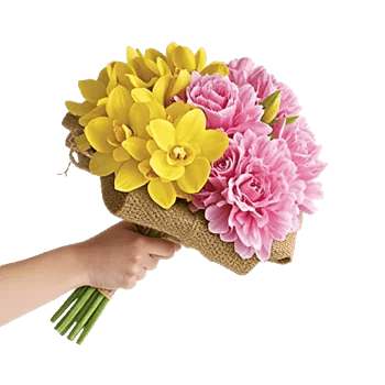 Orchid Bloom Cascade