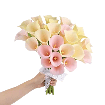 Elegant Calla Lilies