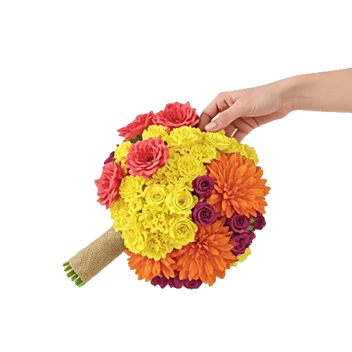 Coral Blossom Harmony