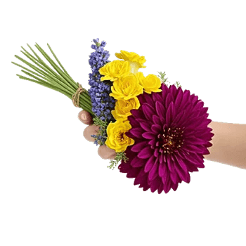 Radiant Bloom Cascade