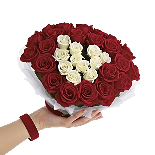 Crimson Rose Elegance