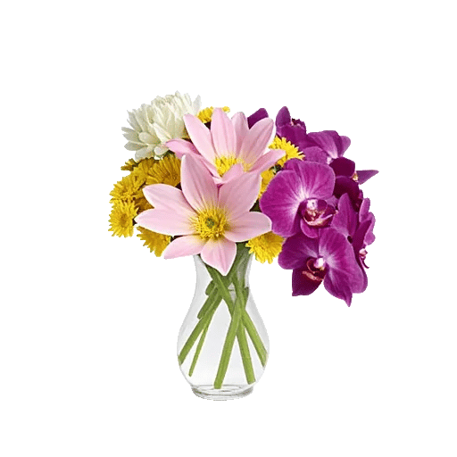 Ivory Blossom Radiance