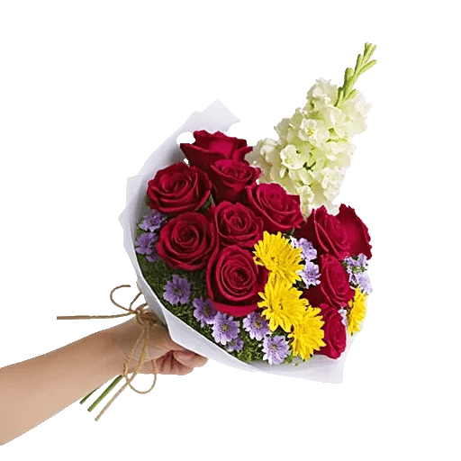 Crimson Rose Elegance