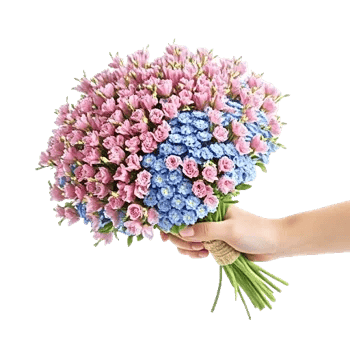 Blossom Petal Serenity